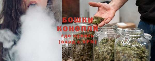 PSILOCYBIN Балахна