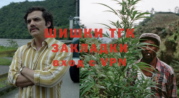 PSILOCYBIN Балахна
